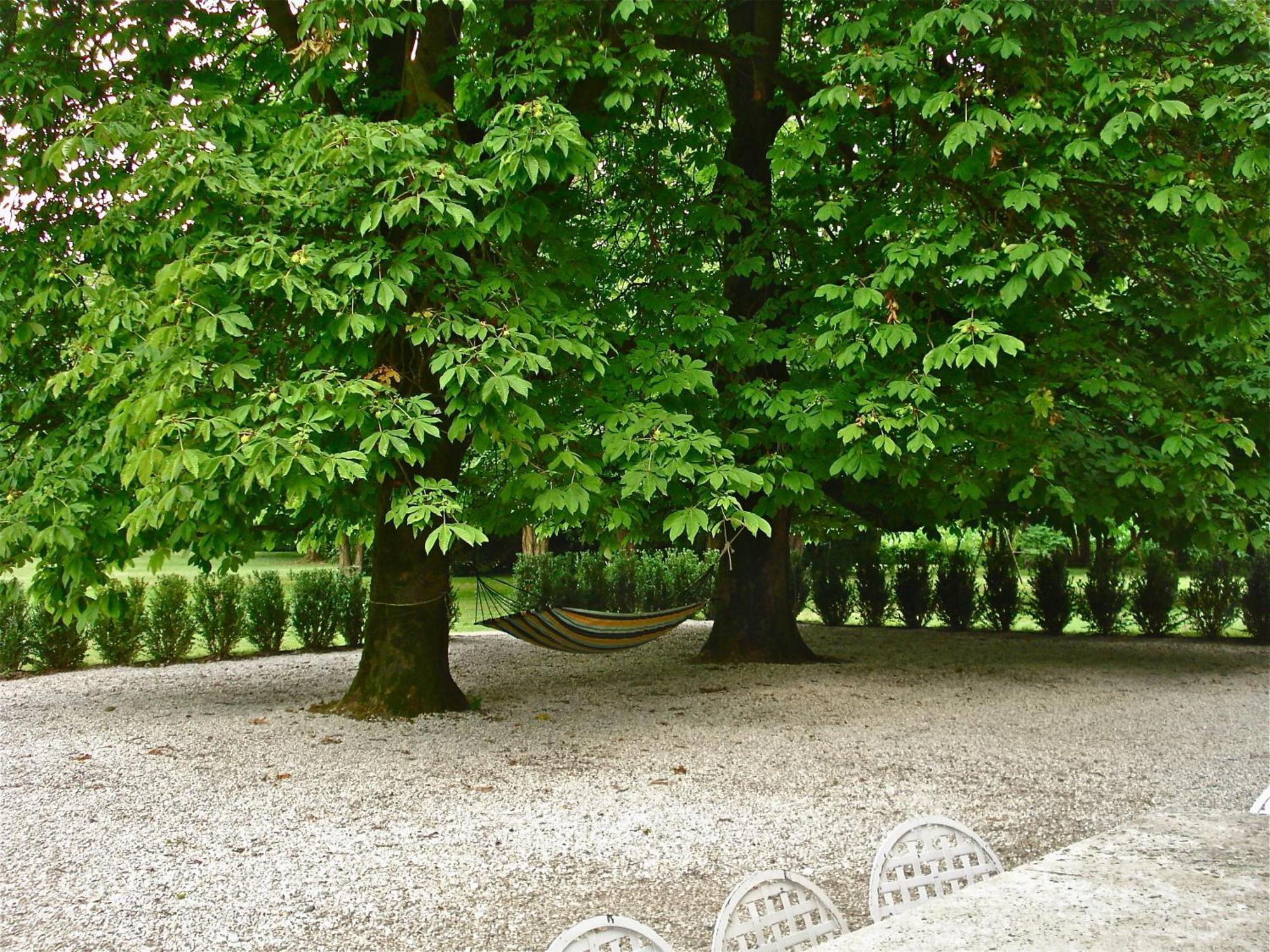 Villa Maffei Rizzardi Palu Exteriér fotografie